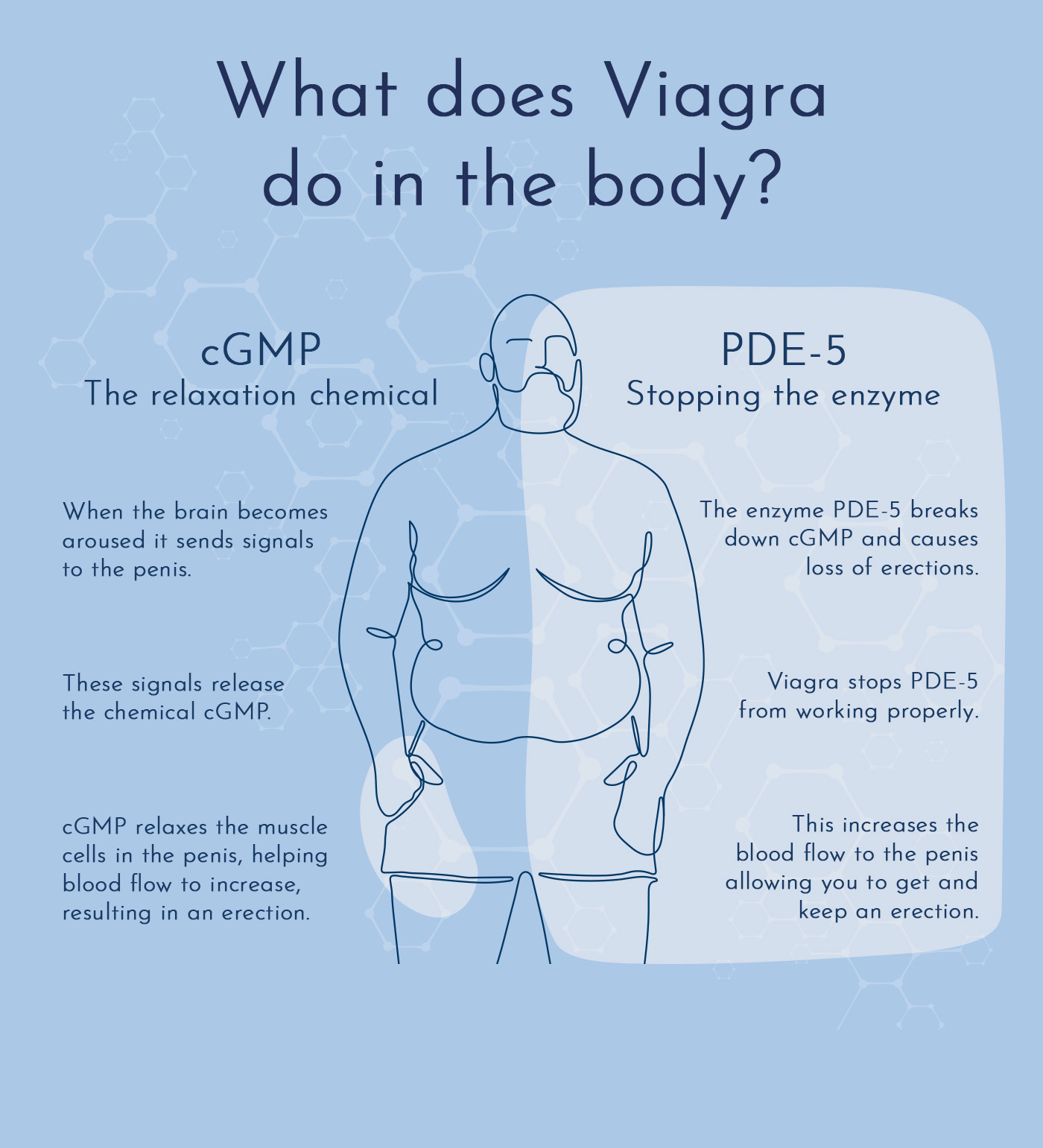 COD单页系统建站,联系QQ：494906791/微信：Cod_web